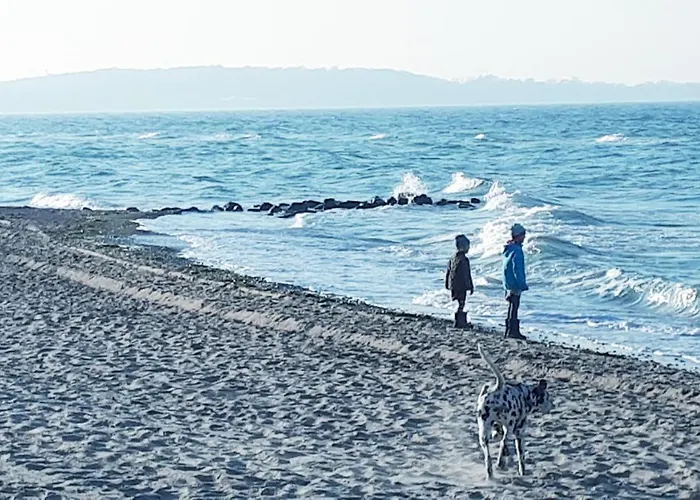 Lejlighed Design Nienrausch 2 Timmendorfer Strand